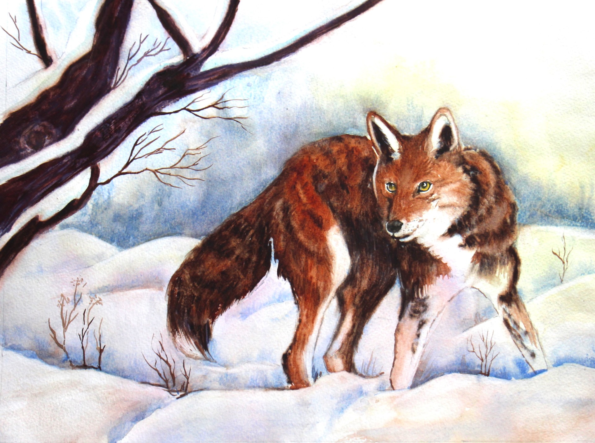 Renard dans la neige